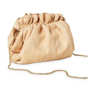 Loeffler Randall Willa Mini Pouch Clutch with Gold Chain